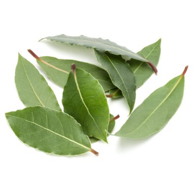 aromatik defne yaprağı üzerinde beyaz bir arka plan kesme izole