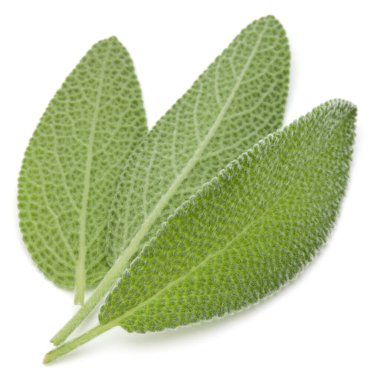 Adaçayı yaprakları üzerinde beyaz arka plan kesme izole.