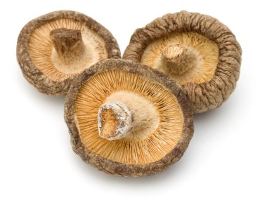 Beyaz arka plan üzerinde izole kurutulmuş shiitake mantar