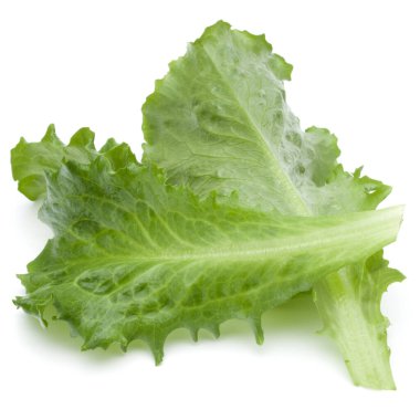 Stüdyo çekim taze yeşil hindiba salatası yaprak beyaz arka plan üzerinde izole kapatmak.