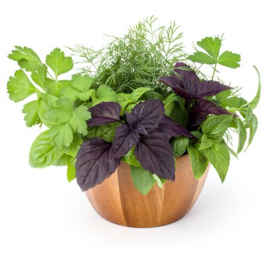 Taze baharat ve otlar üzerinde beyaz arka plan kesme izole hasır sepet içinde. Reyhan, kırmızı fesleğen yaprağı, dereotu ve maydanoz.