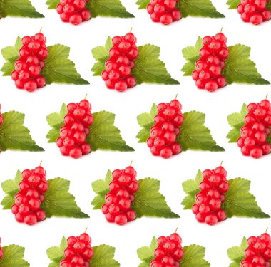 Beyaz arkaplan üzerinde kırmızı üzümler izole edildi. Yaratıcı düzen, meyvesiz desen.