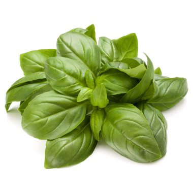 Beyaz arka plan üzerinde izole demet fesleğen bitki yaprakları