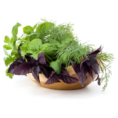 Taze baharat ve otlar üzerinde beyaz arka plan kesme izole hasır sepet içinde. Reyhan, kırmızı fesleğen yaprağı, dereotu ve maydanoz.