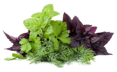 Taze baharat ve otlar üzerinde beyaz arka plan kesme izole. Reyhan, kırmızı fesleğen yaprağı, dereotu ve maydanoz.