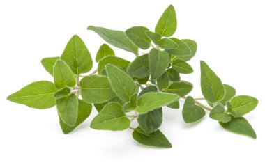 Beyaz arka plan kesme izole kekik veya mercanköşk yaprakları