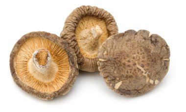 Beyaz arka plan üzerinde izole kurutulmuş shiitake mantar