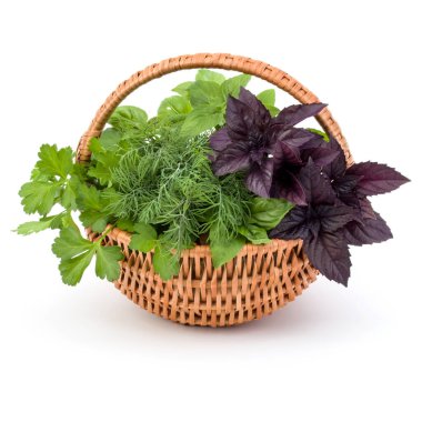 Taze baharat ve otlar üzerinde beyaz arka plan kesme izole hasır sepet içinde. Reyhan, kırmızı fesleğen yaprağı, dereotu ve maydanoz.