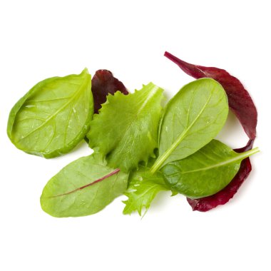 Farklı salata beyaz arka plan üzerinde izole avuç bırakır. Üst görünüm, düz yatıyordu...