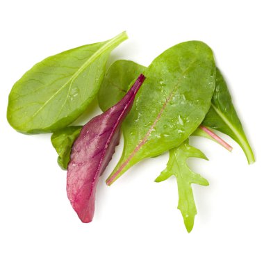 Farklı salata beyaz arka plan üzerinde izole avuç bırakır. Üst görünüm, düz yatıyordu.