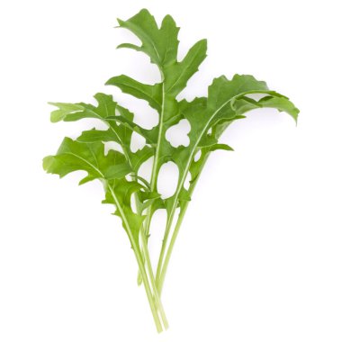 Taze rucola yaprakları yeşil beyaz arka plan üzerinde izole stüdyo çekim kapatın. Roket salata veya roka.