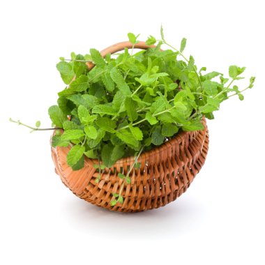 Beyaz arkaplanda taze nane aromalı hasır sepet.
