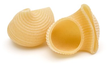 Beyaz arka plan üzerinde izole İtalyan lumaconi. Lumache, snailshell makarna şeklinde..