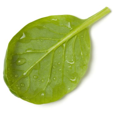 Ispanak salatası yaprağı beyaz arka plan üzerinde izole. Üst görünüm, düz yatıyordu..