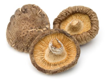 Beyaz arka plan üzerinde izole kurutulmuş shiitake mantar