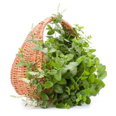 Beyaz arkaplanda taze nane aromalı hasır sepet..