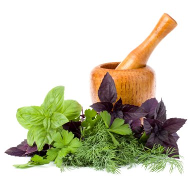 Taze baharatlar, otlar ve beyaz arka planda izole edilmiş ahşap havan. Tatlı fesleğen, kırmızı fesleğen, dereotu ve maydanoz.