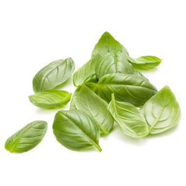 Beyaz arka plan closeup izole avuç fesleğen bitki yaprakları