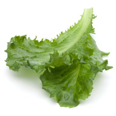 Stüdyo çekim taze yeşil hindiba salatası yaprak beyaz arka plan üzerinde izole kapatmak.