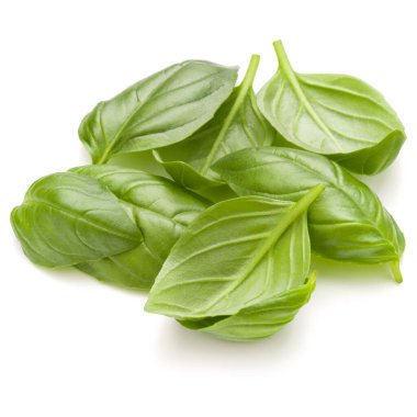 Beyaz arka plan closeup izole avuç fesleğen bitki yaprakları