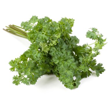 Beyaz arka plan kesme izole demet maydanoz yaprakları