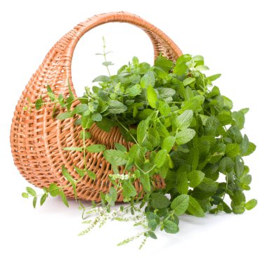 Beyaz arka planda izole edilmiş taze naneli hasır sepeti.