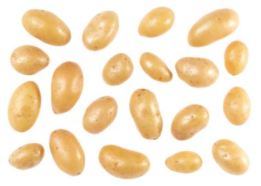Patates beyaz arka plan üzerinde izole. Üst te. Düz döşeme deseni. Havada patates, gölge olmadan.