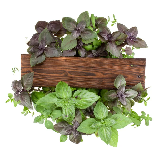 Wooden Burnt Board Various Sweet Basil Herb Leaves Background Healthy — Stock Photo, Image