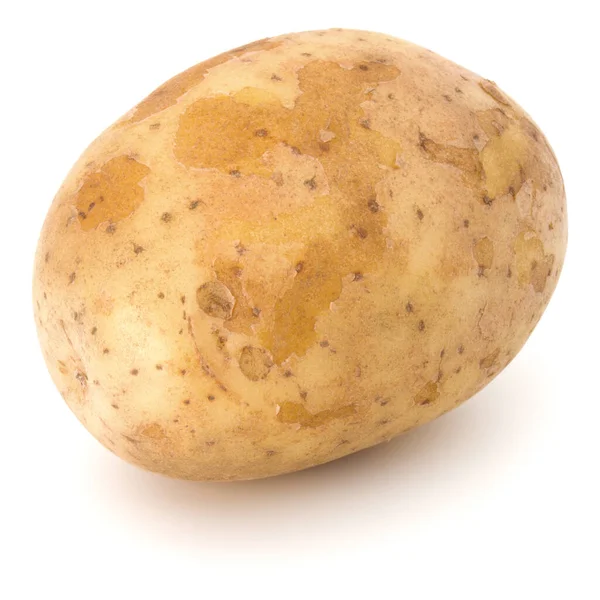Nieuwe Aardappel Knol Geïsoleerd Witte Achtergrond Knipsel — Stockfoto