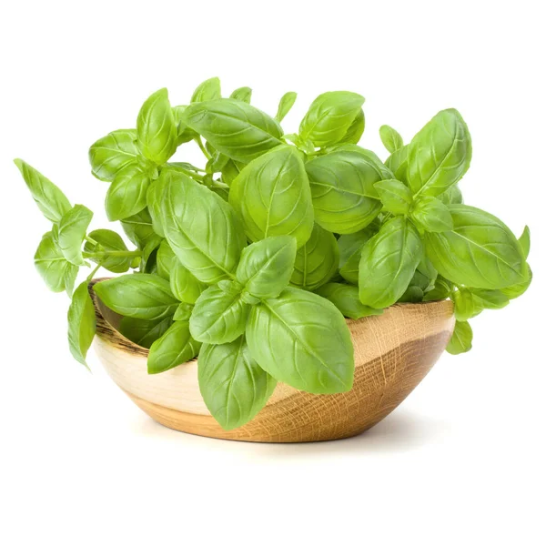 Beyaz arka planda izole edilmiş ahşap kasede tatlı fesleğen yaprakları..