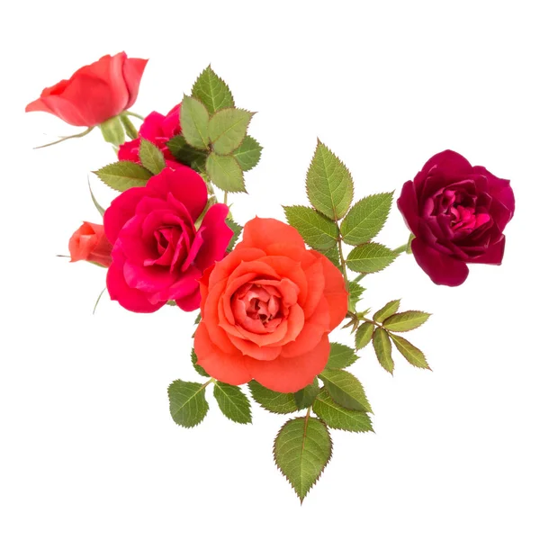 Barevné Růže Kytice Zelenými Listy Izolované Bílém Pozadí Vystřižení — Stock fotografie