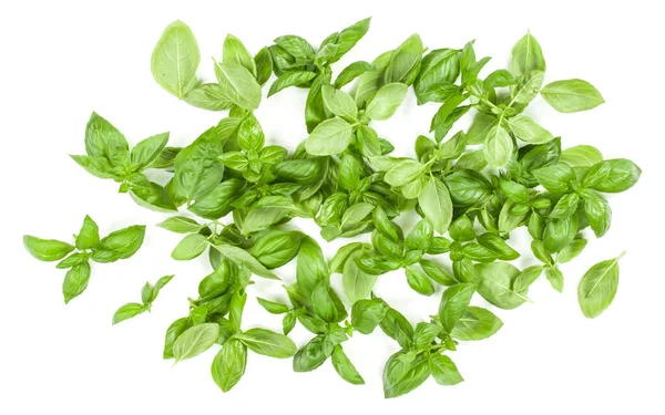 Sweet Genovese Basil Leaves Background Arrangement Isolated White Top View — Stock Photo, Image