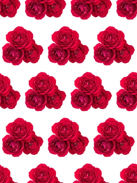 Rote Rose Blumenstrauß Isoliert Auf Weißem Hintergrund Ausschnitt Florales Nahtloses — Stockfoto