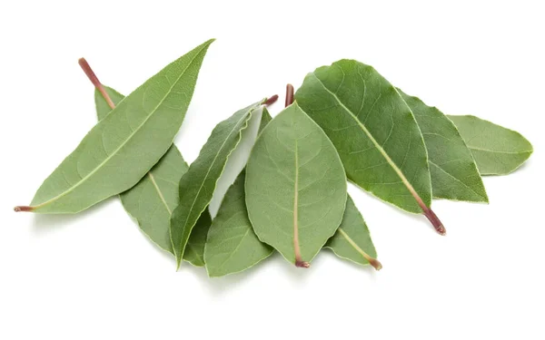 Hojas Laurel Aromáticas Aisladas Sobre Fondo Blanco Recorte —  Fotos de Stock