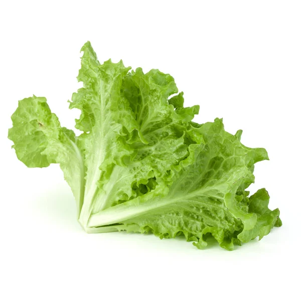 Frische Grüne Salatblätter Isoliert Auf Weißem Hintergrund — Stockfoto