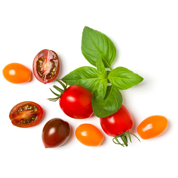 Verschiedene Bunte Tomaten Und Basilikumblätter Isoliert Auf Weißem Hintergrund Draufsicht — Stockfoto