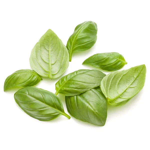 Sweet Basil Ört Lämnar Handfull Isolerad Vit Bakgrund Närbild — Stockfoto