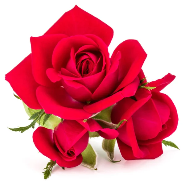 Vermelho Buquê Flores Rosa Isolado Recorte Fundo Branco — Fotografia de Stock