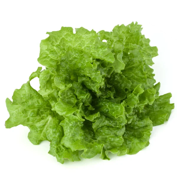 Hojas Frescas Ensalada Lechuga Verde Aisladas Sobre Fondo Blanco — Foto de Stock