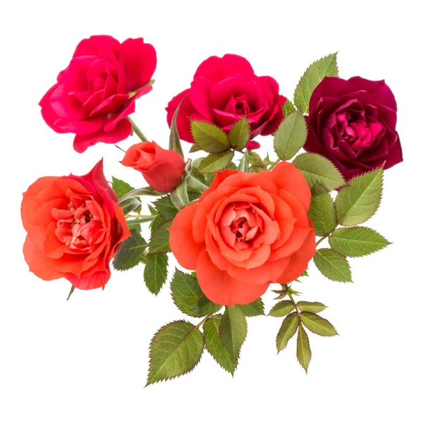 Barevné Růže Kytice Zelenými Listy Izolované Bílém Pozadí Vystřižení — Stock fotografie