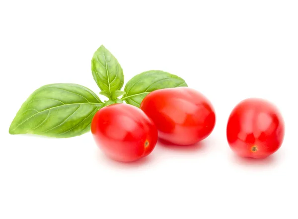Świeży Pomidor Śliwkowy Bazylią Liść Białym Tle — Zdjęcie stockowe