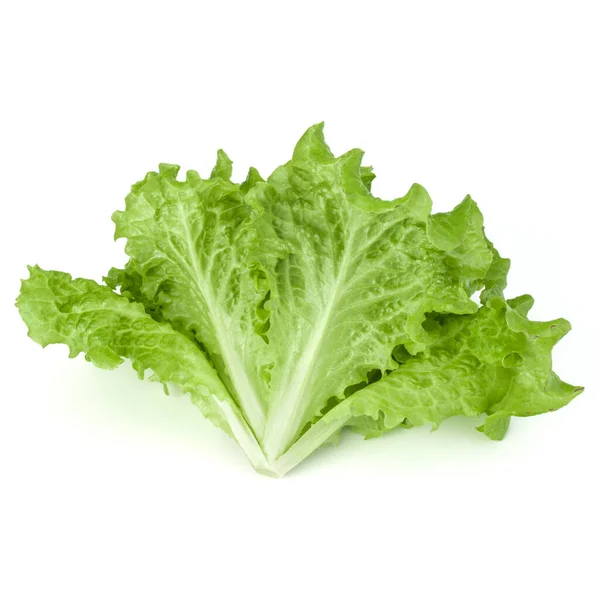 Beyaz Arka Planda Taze Yeşil Marul Salatası Yaprakları — Stok fotoğraf