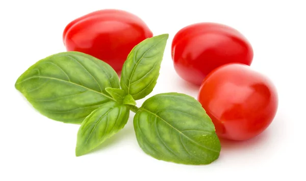 Tomate Ciruela Fresco Con Hoja Albahaca Aislada Sobre Fondo Blanco —  Fotos de Stock