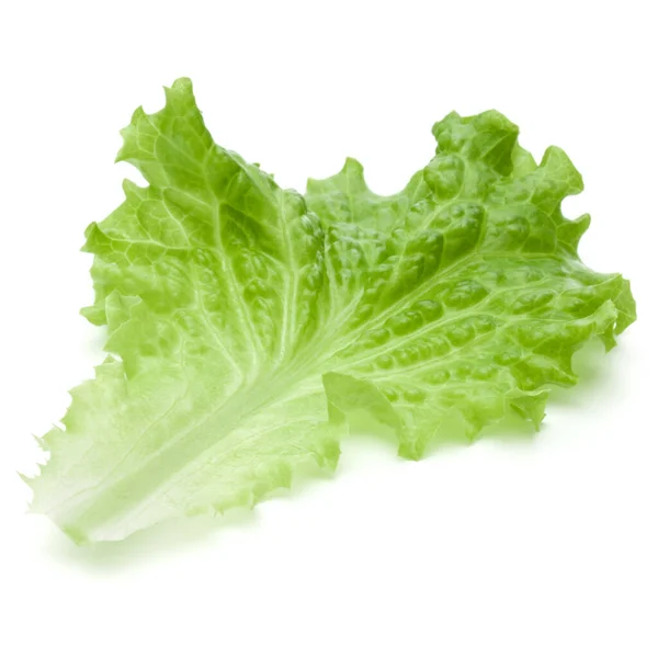 Fresh Green Lettuce Salad Leaves Isolated White Background — Stock Photo, Image