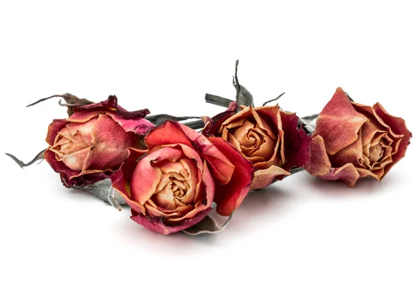 Rose Séchée Tête Fleur Isolé Sur Fond Blanc Découpe — Photo