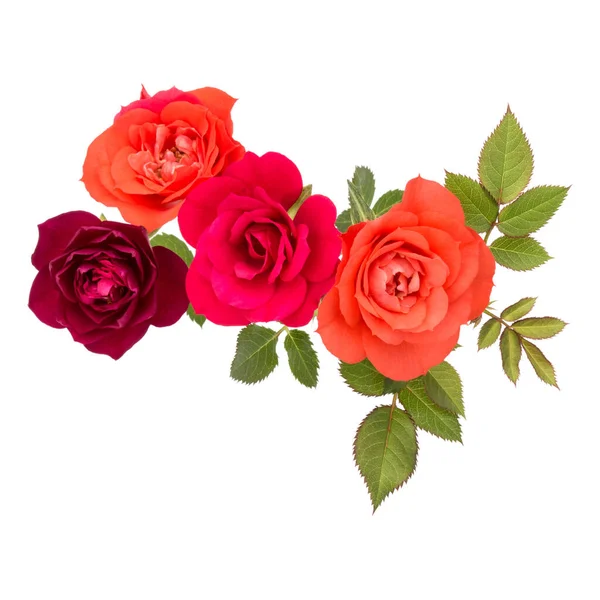 Colorful Rose Flower Bouquet Green Leaves Isolated White Background Cutout — Stock Photo, Image