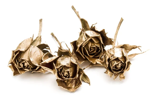 Rosas Ouro Isoladas Recorte Fundo Branco Cabeças Flores Secas Douradas — Fotografia de Stock