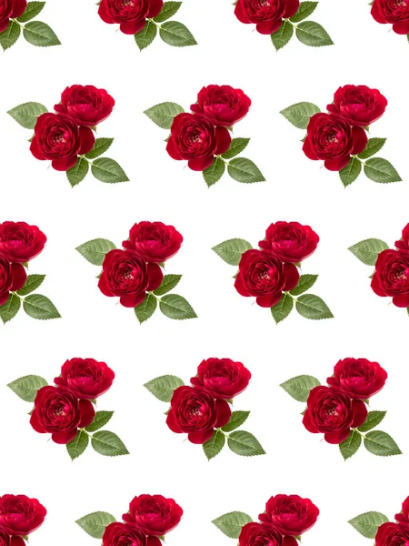 Dvě Červené Růže Květiny Izolované Listy Přes Bílé Pozadí Střih — Stock fotografie
