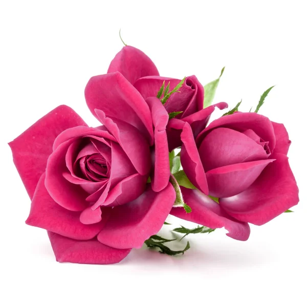 Pink Rose Flower Bouquet Isolated White Background Cutout — Stock Photo, Image