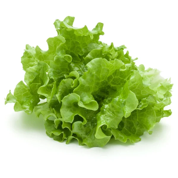鲜绿色生菜沙拉叶子 白色背景隔离 — 图库照片